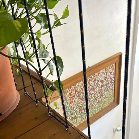 La Casa Di